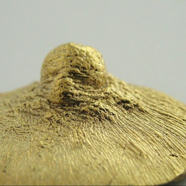 Broche de bronce con baño de oro de 18kt. Reproducción directa del modelo natural, pieza única. La modelo posó para M A L I C I A un mes de agosto. Medida máxima 4cm. Objeto diseñado y fabricado artesanalmente en Madrid porr personas que disfrutan su trabajo.