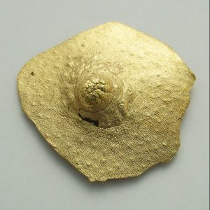 Pezón VIII. Broche de bronce con baño de oro de 18kt. Reproducción directa del modelo natural, pieza única. La modelo posó para M A L I C I A un mes de agosto. Medida máxima 4cm. Objeto diseñado y fabricado artesanalmente en Madrid porr personas que disfrutan su trabajo.