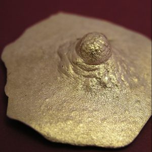 Pezón VIII. Broche de bronce con baño de oro de 18kt. Reproducción directa del modelo natural, pieza única. La modelo posó para M A L I C I A un mes de agosto. Medida máxima 4cm. Objeto diseñado y fabricado artesanalmente en Madrid porr personas que disfrutan su trabajo.