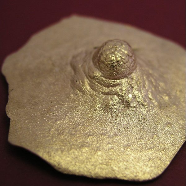 Pezón VIII. Broche de bronce con baño de oro de 18kt. Reproducción directa del modelo natural, pieza única. La modelo posó para M A L I C I A un mes de agosto. Medida máxima 4cm. Objeto diseñado y fabricado artesanalmente en Madrid porr personas que disfrutan su trabajo.