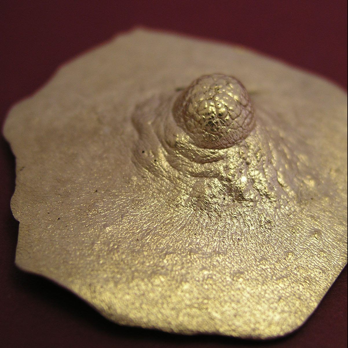 pezon-8-broche-dorado-24kt-diseno-artesaniacontemporanea-malicia Pezón VIII. Broche de bronce con baño de oro de 18kt. Reproducción directa del modelo natural, pieza única. La modelo posó para M A L I C I A un mes de agosto. Medida máxima 4cm. Objeto diseñado y fabricado artesanalmente en Madrid porr personas que disfrutan su trabajo.